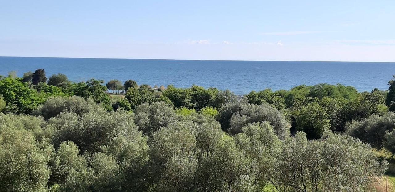 Apartment Istria Замбратія Екстер'єр фото